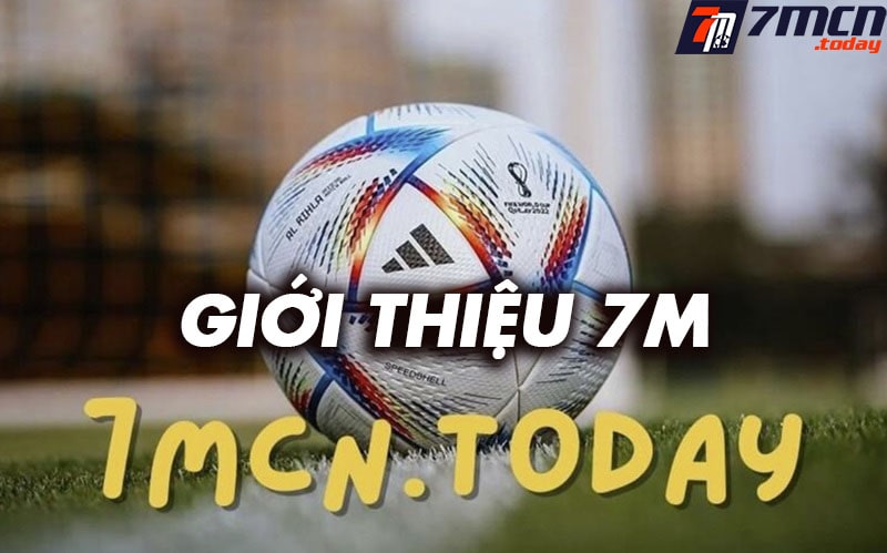 Giới thiệu vivoesportscup.com